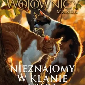 Nieznajomy w Klanie Nieba
