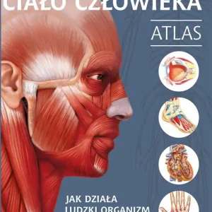 Ciało człowieka. Atlas. Jak działa ludzki organizm