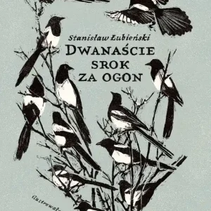 Dwanaście srok za ogon