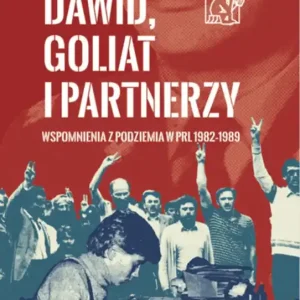 Dawid, Goliat i partnerzy. Wspomnienia z podziemia PRL 1982-89