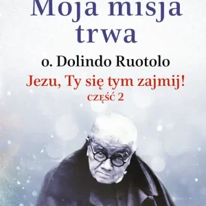 Moja misja trwa. O. Dolindo Ruotolo. Jezu, Ty się tym zajmij! Tom 2