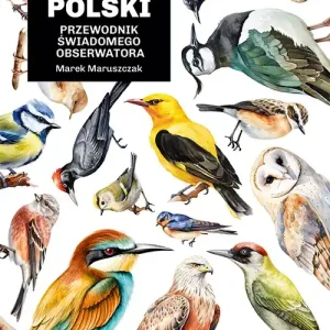 Głupie ptaki Polski. Przewodnik świadomego obserwatora