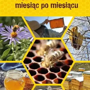 Pszczelarstwo miesiąc po miesiącu