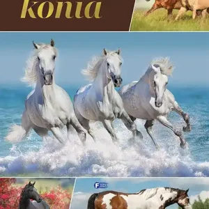 Piękno konia
