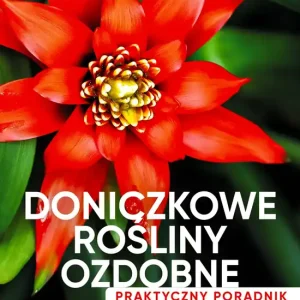 Doniczkowe rośliny ozdobne. Poradnik praktyczny