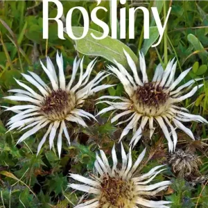 Rośliny. Spotkania z przyrodą