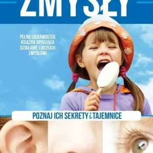 Zmysły