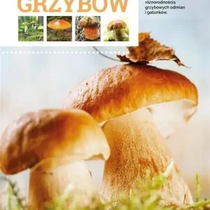 Atlas grzybów TW