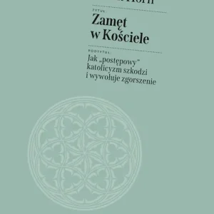 Zamęt w Kościele. Jak „postępowy” katolicyzm szkodzi i wywołuje zgorszenie