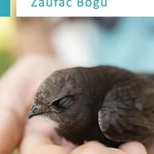 Los. Zaufać Bogu