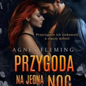 Przygoda na jedną noc