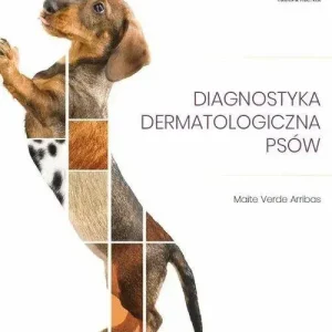 Diagnostyka dermatologiczna psów