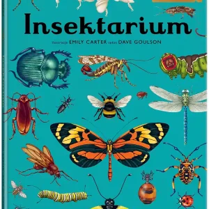Insektarium. Muzeum Owadów. W Muzeum