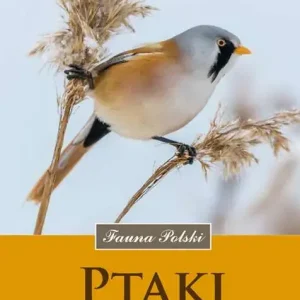 Ptaki Fauna Polski