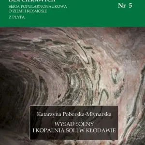 Wysad solny i Kopalnia Soli w Kłodawie