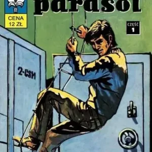 Kapitan Żbik Czarny parasol