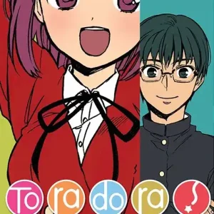 Toradora. Tom 2