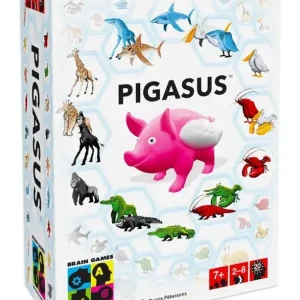 Pigasus BRAIN GAMES
