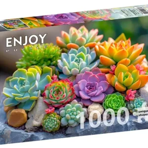 Puzzle 1000 Sukulenty