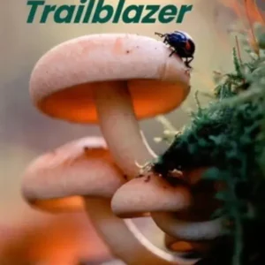 Trailblazer Starter Combo Split A + online