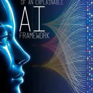 Development of an explainable AI framework